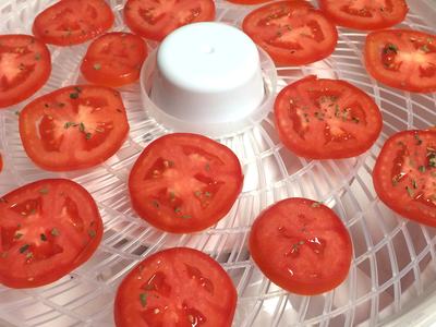Sliced tomato rounds sprinkled with herbs arranged on a food dehydrator tray