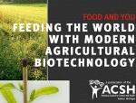 Seedling and crops with text: "Feeding the world with modern agricultural biotechnology"