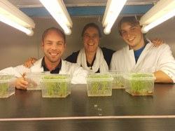 Three people in lab coats behind seedling trays under fluorescent grow lights