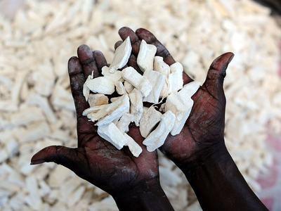 Dark-skinned hands holding a pile of white dried cassava pieces