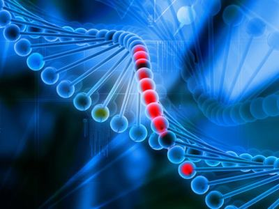 DNA double helix with a segment of nucleotides highlighted in red