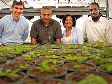 Four people standing behind rows of potted seedlings in a greenhouse
