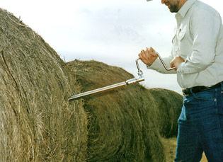 hay-sampling