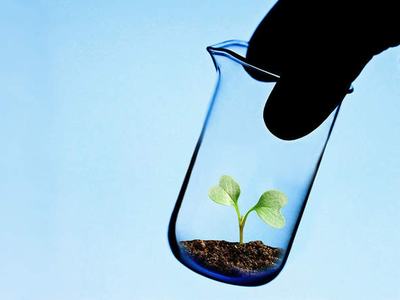 Gloved hand holding a glass beaker containing soil and a small green seedling