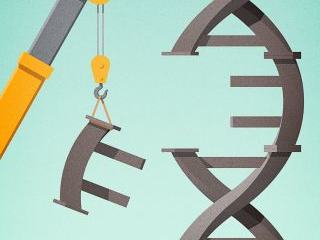 Crane lifts a removed rung from a DNA double helix against a city skyline