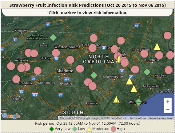 Strawberry risk map oct 2015