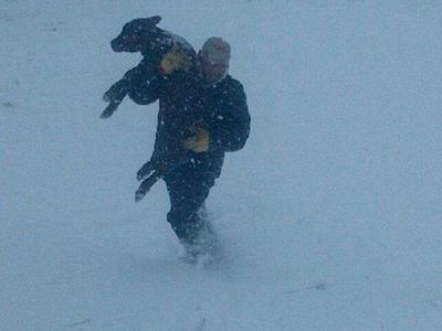 Person carrying a dog on their shoulder while walking through heavy falling snow