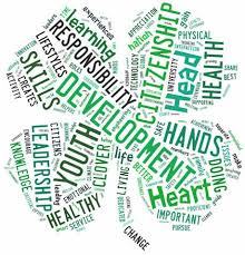 4-H clover logo