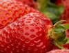 ripe strawberry fruit