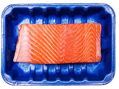 Raw salmon fillet in blue foam tray on white background