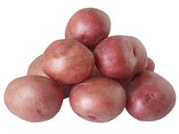 Pile of seven red potatoes on a white background.