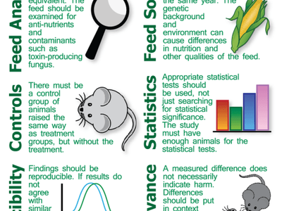 Infographic titled "GMO FEEDING STUDIES" listing guidelines for animal feeding trials.