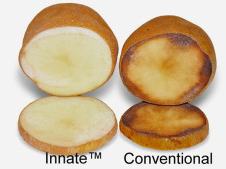 Two halved potatoes labeled Innate™ and Conventional, showing reduced browning in Innate™