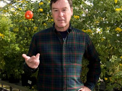 Man tossing a tomato inside a greenhouse with yellow flowering plants