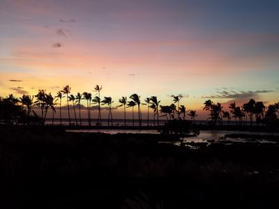 Silhouetted palm trees along a shoreline at a colorful sunset