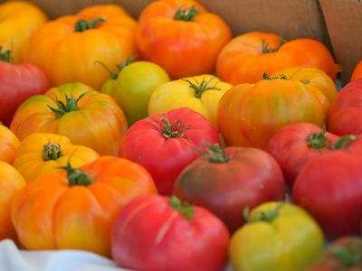 Assorted heirloom tomatoes in red, orange, and yellow packed in a crate