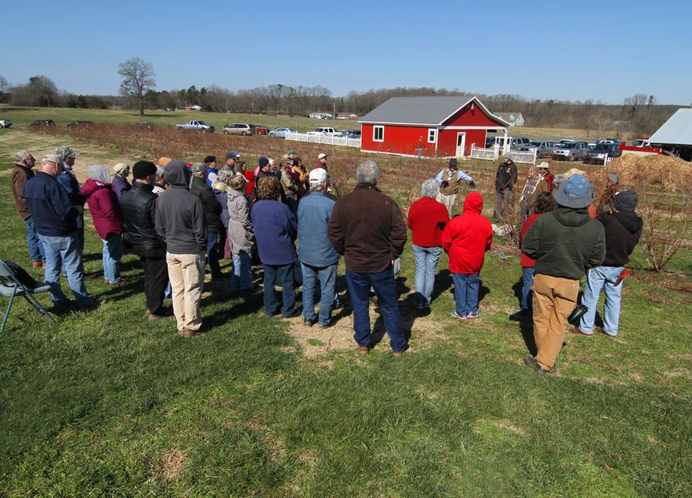 Farmers and gardeners learn proper blueberry pruning techniques at Howard's Farm outside Pittsboro. Photo by Debbie Roos.