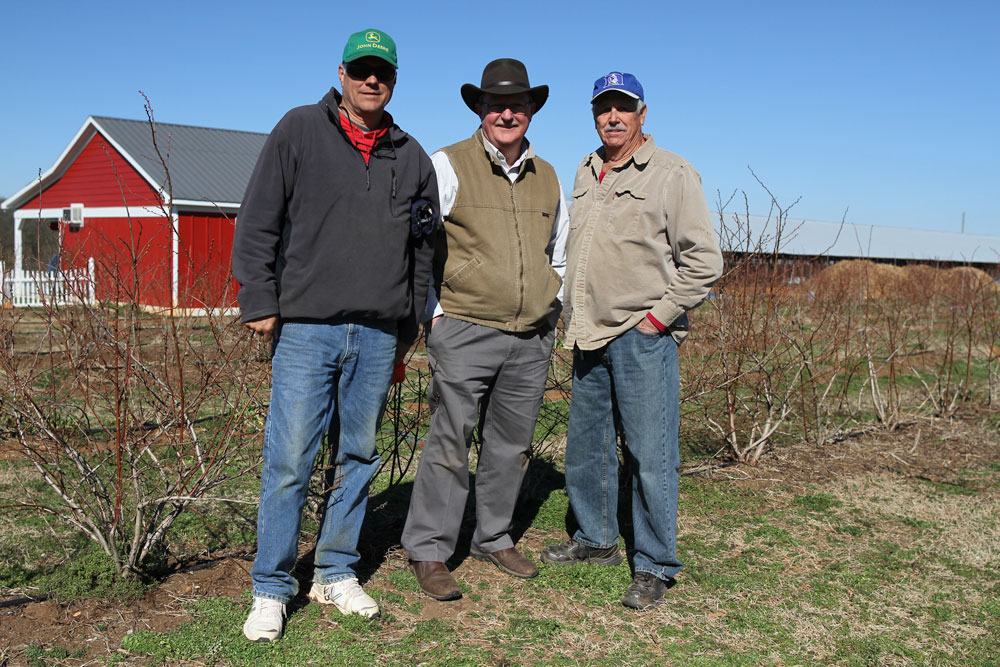 From left to right: Dwayne Howard, NCSU Blueberry Specialist Bill Cline, and Harold Howard. Harold manages the peach and apple trees and his son Dwayne manages the blueberries. Photo by Debbie Roos.