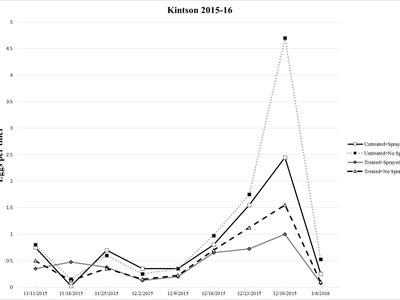 Hessian fly eggs at Kinston, NC in plots with and without treated seed and with and without insecticide sprays every other week.