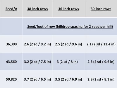 Seeding Rates for Various Row Spacings
