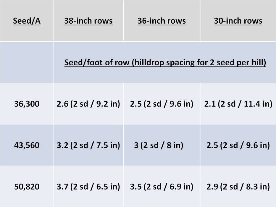 Seeding Rates for Various Row Spacings