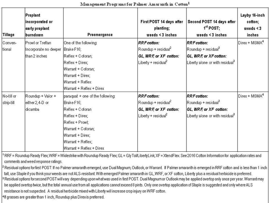 Management Programs for Palmer Amaranth in Cotton 2016