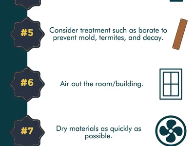 Infographic: 10 Steps Mold Cleanup — wear protective gear, isolate area, remove porous materials