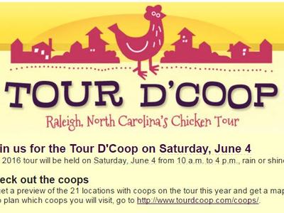 Tour D'Coop poster: chicken graphic, "TOUR D'COOP" title and "Saturday, June 4" text