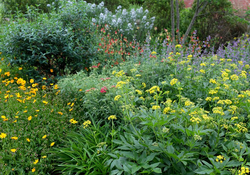pollinator garden
