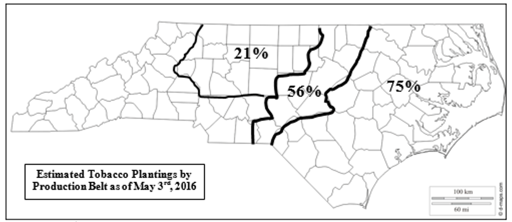 Figure 1. Estimated Tobacco Plantings by North Carolina Production Belt.