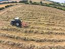 Blue tractor raking hay into windrows across a harvested field, aerial view