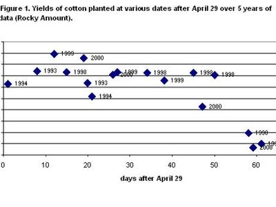 planting date 98 to 2000