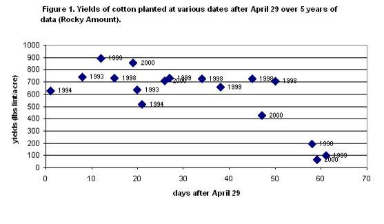 planting date 98 to 2000