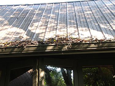 leaves and debris clogging a roof rain gutter.