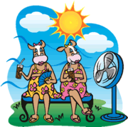 r_coolcows
