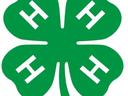 4-H clover logo