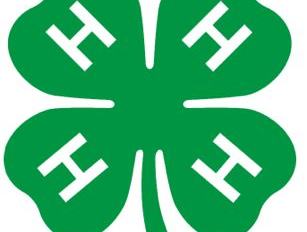 4-H clover logo