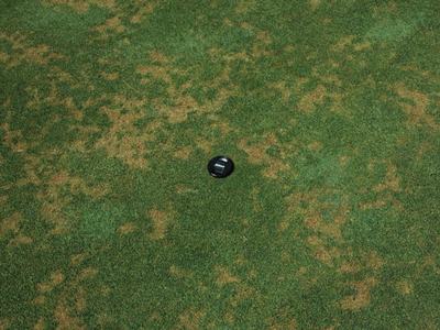 Black Nikon lens cap resting on patchy green grass