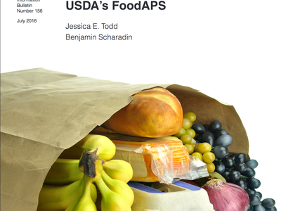 USDA report cover: "Where Households Get Food in a Typical Week" and a paper bag of groceries