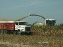 Combine harvester unloading chopped corn into red dump truck in cornfield; text "VCE - Dinwiddie"