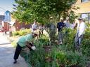 Master Gardeners working in the demo garden