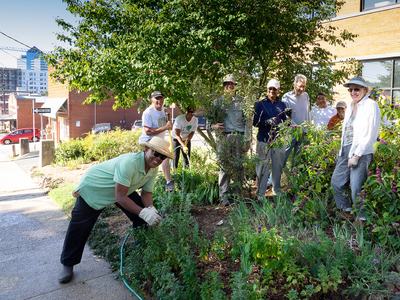 Master Gardeners working in the demo garden