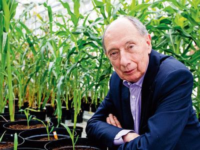Older man in suit leaning beside potted corn seedlings in a greenhouse