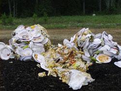 compost food plates