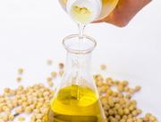 Hand pouring soybean oil from bottle into glass flask surrounded by soybeans