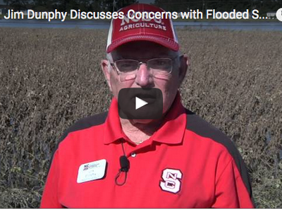 Jim Dunphy in Soybean Field