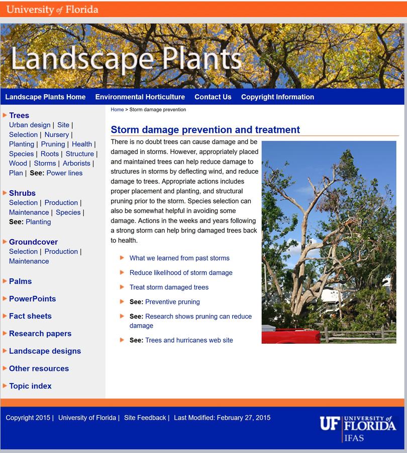 Cover Page of UF Storm Damage Publication