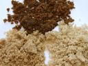 Two piles of dark brown and light brown sugar granules on a white surface.