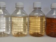 Bottles of colored water