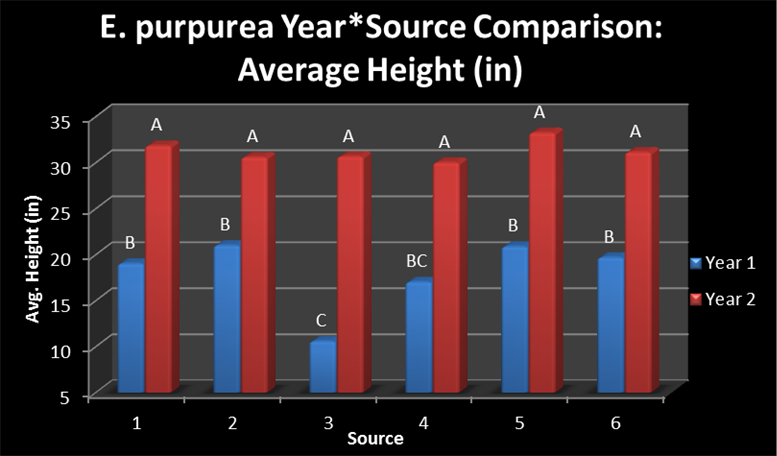 Figure 1. The average final plant height of E. purpurea sources in 2012 and 2013.